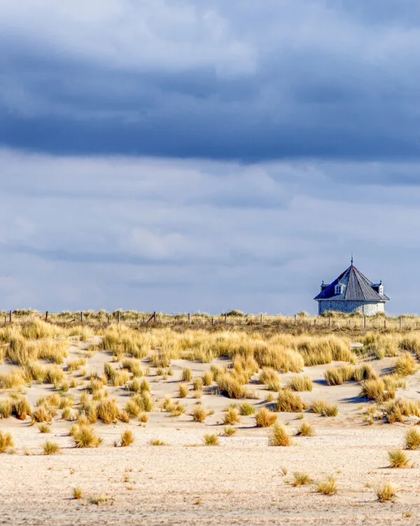 Journey through wide-open prairies, canyons, and windmills in the Panhandle Plains, offering dramatic landscapes and quiet beauty on your Texas road trip.
