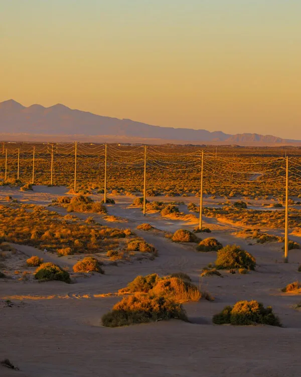 Embrace the vast skies, desert solitude, and iconic stops like Marfa and El Paso that define a soul-stirring Texas road trip across West Texas.